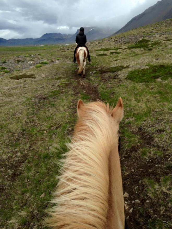 Horseback riding through volcanic fields at Kast Guesthouse